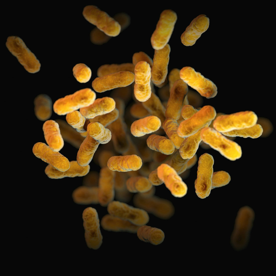 Not All Probiotics Are Created Equal: What Every Traveller Should Know