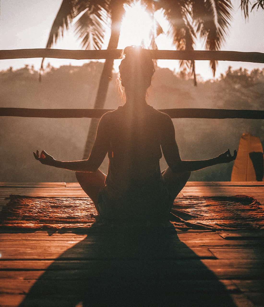 What Is Sunfiber® PHGG? Why This Gentle Prebiotic Is Different