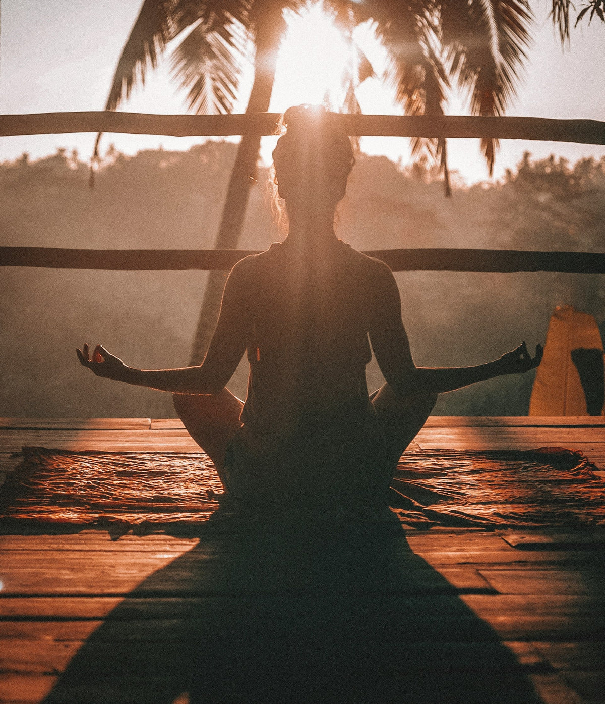 What Is Sunfiber® PHGG? Why This Gentle Prebiotic Is Different